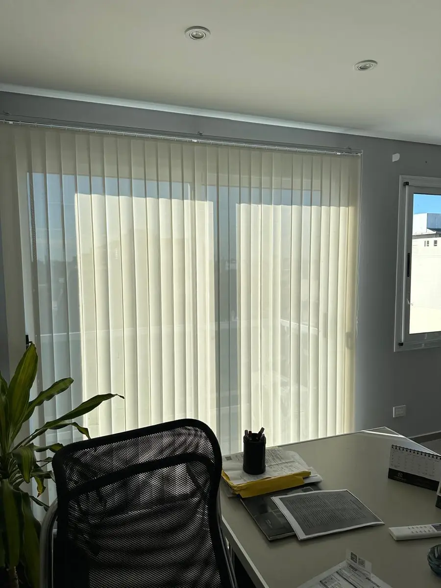 Eclipse zebra en Oficina